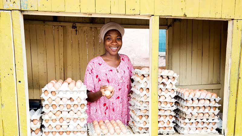 egg-shop-800x450