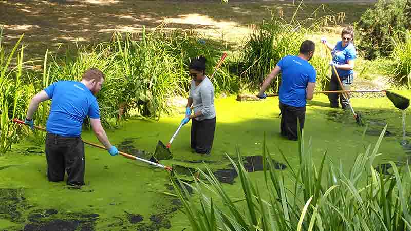 volunteer-at-vsa-800x450
