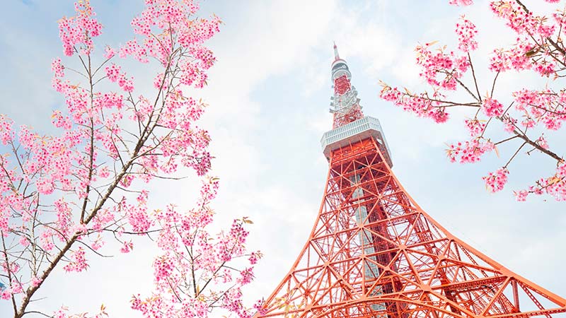 Tokyo skyscrapper